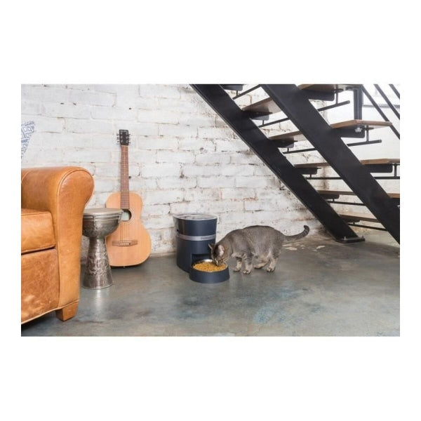 BestPaw SteelSmart Feeder